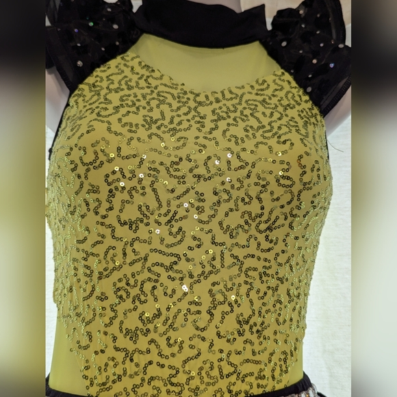 Weismman Dance Costume - Picture 2 of 5